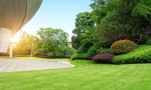 Commercial Shrub Trimming in Riverton