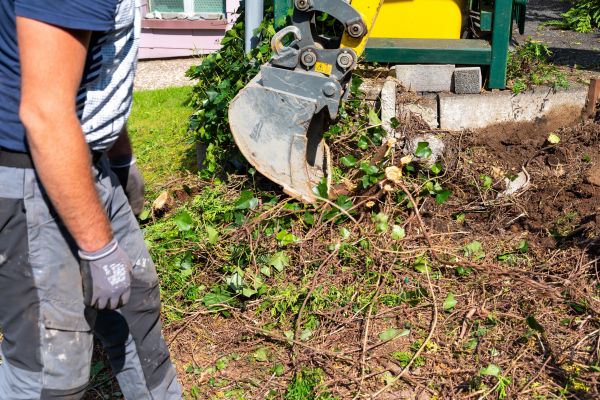 Hedge Removal Service in Riverton