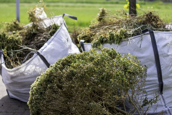 Shrubs Removal in Riverton