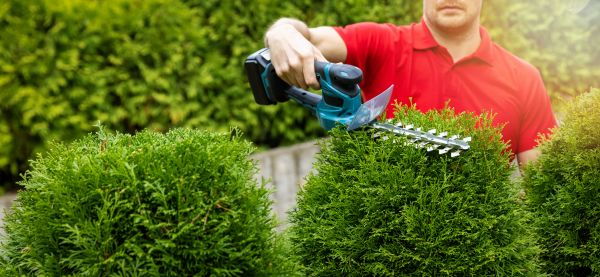 Hedge Shaping Service in Riverton
