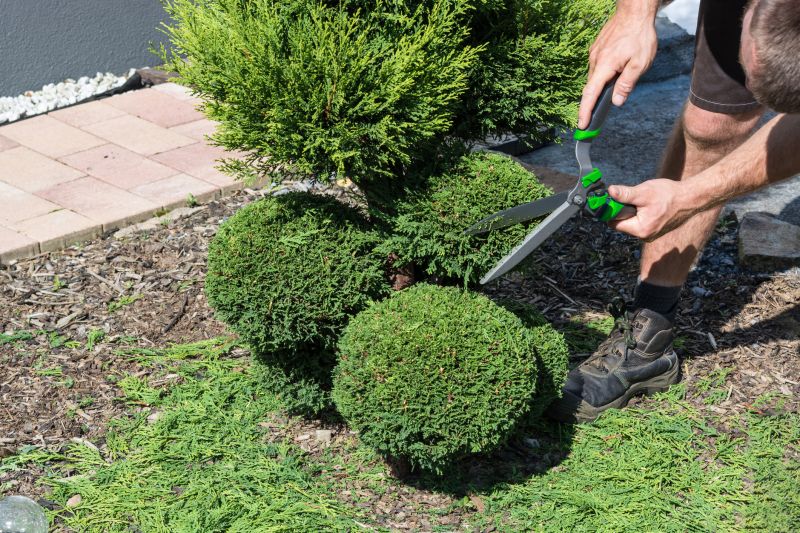 Trimming Bushes in a Garden